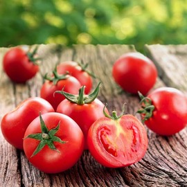 2 Potted Tomato Plants Live for Planting Outdoors, Heirloom Tree Tomato Plant, 8 to 10 Inch Tall, Well Rooted 4 Inch Pot,Small Red Cherry Tomato Plant