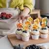27PCS Pumpkin Cupcake Toppers, Harvest Pumpkin Cake Toppers, Rustic Autumn