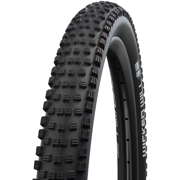Schwalbe Wicked Will Performance Folding Tyre, Black, 65-584 (27.5x2.60 650B)