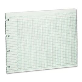 Wilson Jones G1020 Accounting Sheets, 20 Column, 9-1/4 x 11-7/8, 100 Loose Sheets/Pack, Green