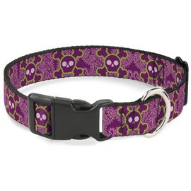 Buckle Down-Down Plastic Clip Collar - Cute Skulls w/Paisley Purple/Pink/Green - 1/2" Wide - Fits 9-15" Neck - Large