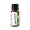 VIDA SCENTS OLEOS Aceite Esencial de Bergamota 10 ML 100%