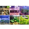 URTERYSER Lamps, Small Aquarium Fish Tank Led Light with USB