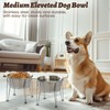 Wellbro Elevated Dog Bowls for Medium&Small Dogs - Stainless Steel
