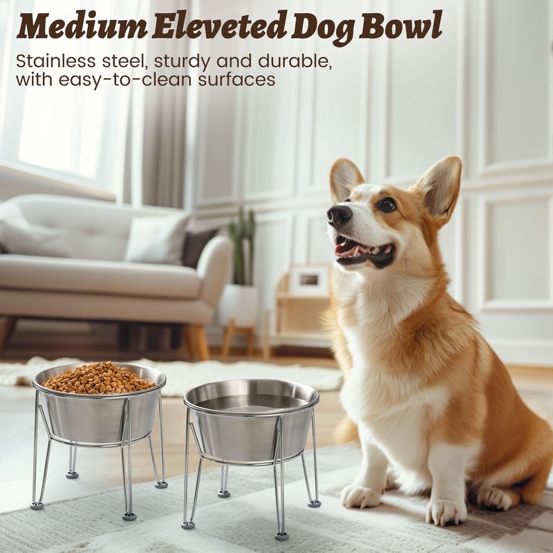 Wellbro Elevated Dog Bowls for Medium&Small Dogs - Stainless Steel