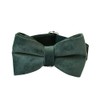 Love Dream Bowtie Dog Collar, Velvet Dog Collars with Detachable