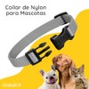 Collar para Perro y Gato. Diseño Cómodo, Resistente y Ajustable.