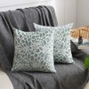 Set of 2 Square Decorative Throw Pillow Cases Soft Microfiber