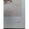 Guy Coheleach "Bobwhite" Signed Print 16 x 20" 1978 Regency