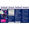 Sambucol Black Elderberry For Kids