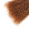 Light Brown Curly Wave Bundles Color #30 Brown Human Hair