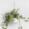 Hajia Waterdrop Shaped Hanging Planter, Metal Plant Hanger with Non-Detachable