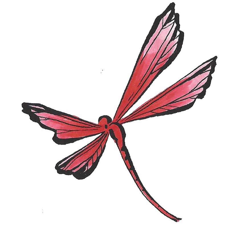 Tombow 56600 Dual Brush Pen Art Marker, 856 - Poppy