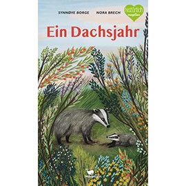 Ein Dachsjahr: Ein Sachbilderbuch zum Vorlesen ab 5 Jahren