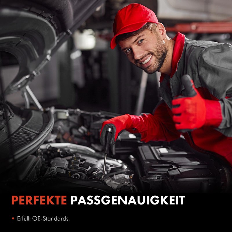 Frankberg Fuel Pump; Mechanical Fuel Pumps Replace# 702242310