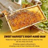 AIMALL Stainless Steel Honey Uncapping Fork with Wooden Handle Beekeeping