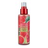 Fijador De Maquillaje Aroma Sandia Beauty Creations Tono del primer