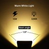 Lysed 10W Low Voltage LED Landscape Lights, Bowfishing Lights Warm