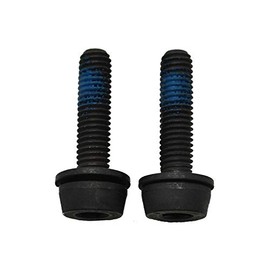 campagnolo(カンパニョーロ) SCREWS for REAR MOUNT 2X34 ブレーキ 中
