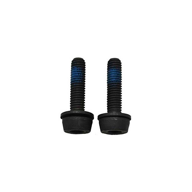 campagnolo(カンパニョーロ) SCREWS for REAR MOUNT 2X34 ブレーキ 中