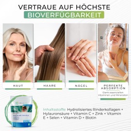 CollaVita Bioaktives Collagen Pulver Hochdosiert mit Hyaluron | 30 Tage Vorrat | Kollagen Pulver | Collagen Peptide mit optimaler Löslichkeit & ohne Zusatzstoffe | Hypoallergen | Beauty Source