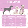 PUPTECK Dog Harness and Leash Set Small Sized, Lightweight Step-in