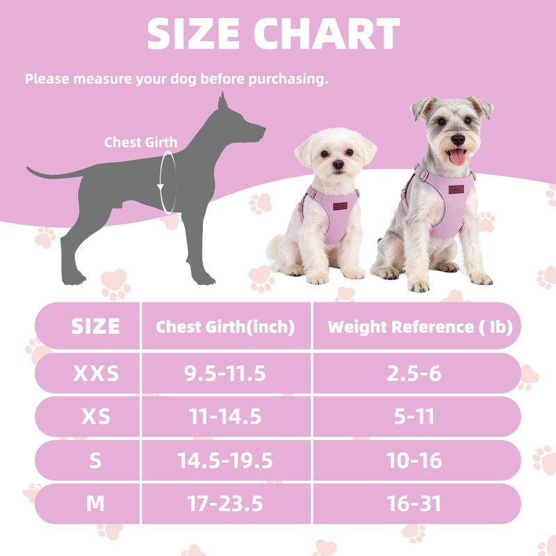 PUPTECK Dog Harness and Leash Set Small Sized, Lightweight Step-in