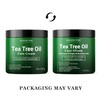 Majestic Pure Tea Tree Oil Face Cream | Cream for