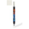 ColorRite 2Tip for Nissan Maxima Automotive Touch-up Paint - Chrome