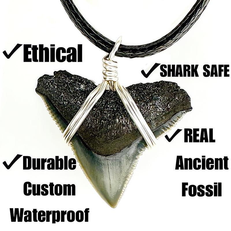 JJ Maybank Shark Necklace - Necklace Length: 18 Inches