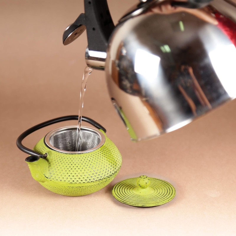 Creative Home 20 oz Cast Iron Kyusu Teapot with Stainless