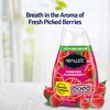 Renuzit Gel Air Freshener, Forever Raspberry, 12 Count
