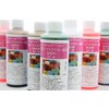 Handmade Preserved Flower Processing Liquid SF-B (Coloring/Dyeing Liquid) Contents: 7.8 fl oz (200 ml) (White)