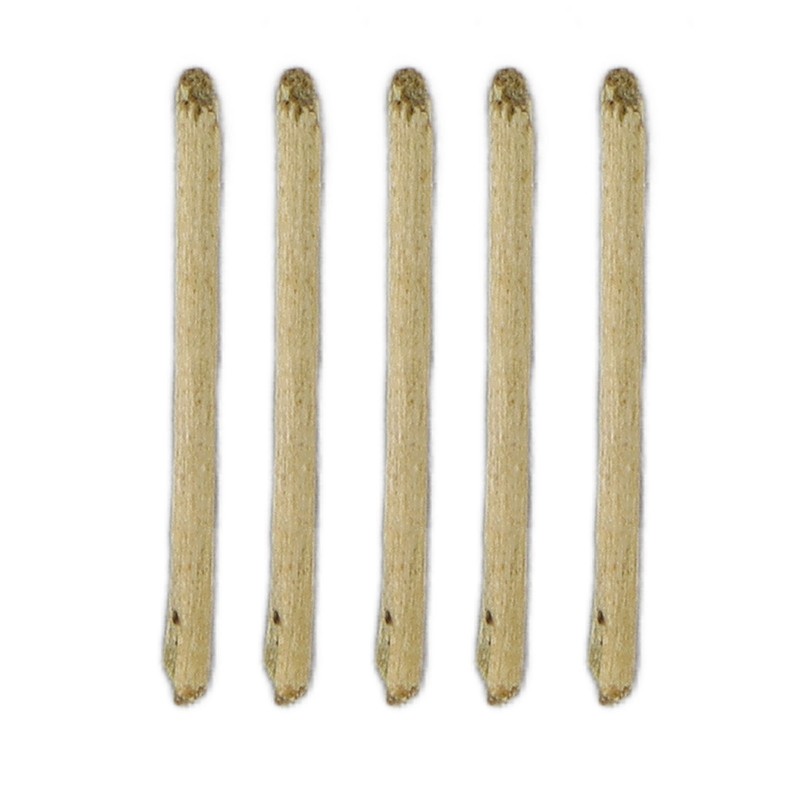 50pcs Tea Stem Stud Earrings Prevent Inflammation Tea Rod Curing