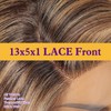 KOME Brown mix Blonde Highlight Synthetic Lace Front Wig,Side Part