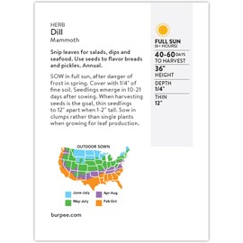 Burpee Dill Seeds, 1.8g Non-GMO Herb Seeds for Planting