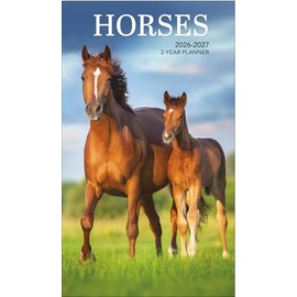 Paper Craft 2026-2027 Value Pocket Calendar for Planning, Scheduling, and Organizing (Horses)