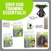 Rosewood Deluxe Dog Training Whistle – Pitched for Dogs Ears,