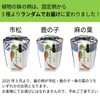 Seishin Ceramics All-Year Home Garden Easy Cultivation Kit for Growing