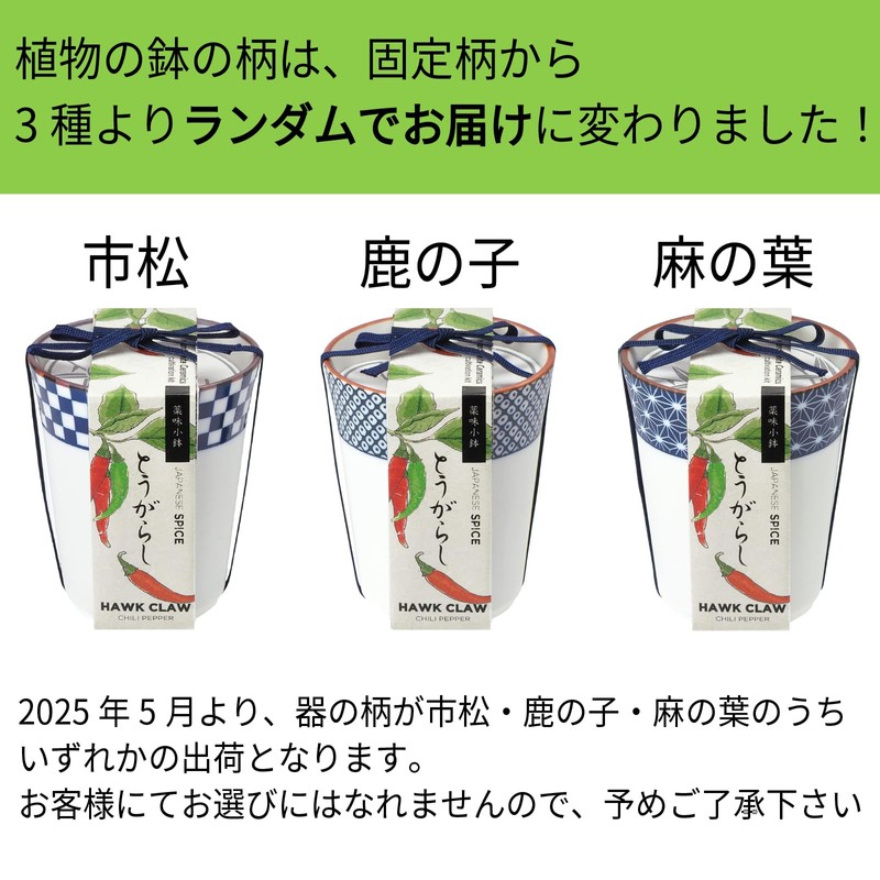 Seishin Ceramics All-Year Home Garden Easy Cultivation Kit for Growing