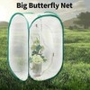 Rngeo Pop-up Insect and Butterfly Habitat Cage Terrarium - 24