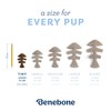 Benebone - Fishbone Puppy 2-Pack Mini 12 cm - (81005421033)
