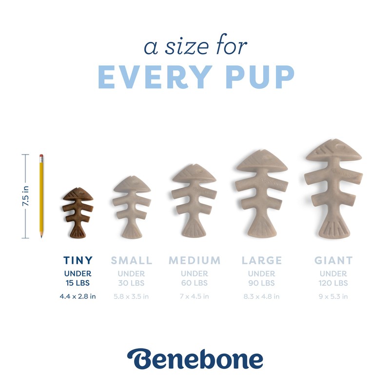 Benebone - Fishbone Puppy 2-Pack Mini 12 cm - (81005421033)
