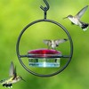 Humble Slim Hummingbird Feeder, 3 Pcs Metal Hanging Ant and