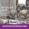 MouseX Throw Packs- for All Species of Rats Mice Safe