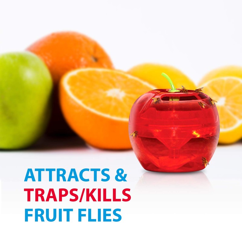 Fruit Fly Traps for Indoors by Raid | 2 Lures