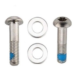 Bracket Mounting Bolts Stainless T25 22mm 2 Pcs Flat Mount Caliper: 22mm