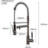 Modern Style Single Handle Kitchen Faucet Kit 2-Function Pull Sprayer