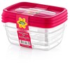 Hobby Life 0.3 Litre 3-Piece Plastic Trend Rectangular Storage/Food Saver