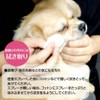 BUDDYPET 肉球 ケア ミスト スプレー （お試し用） 【敏感肌専用化粧品メーカー 開発】犬 猫 ペット用